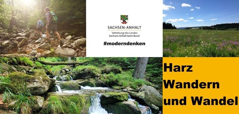 Collage: Ilsetal, Bergwiese St. Andreasberg, Wasserfall
